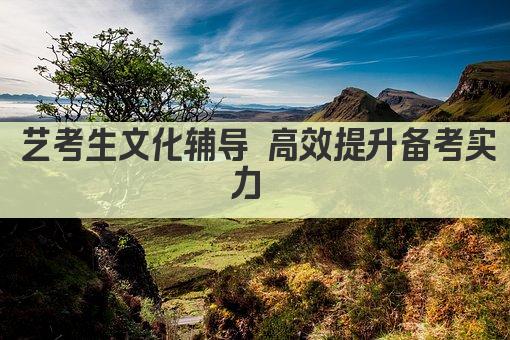 艺考生文化辅导 高效提升备考实力 