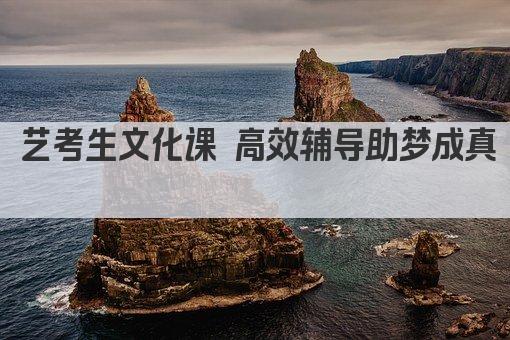 艺考生文化课 高效辅导助梦成真 