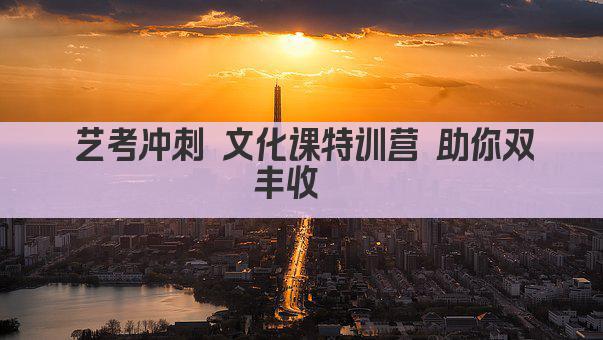 艺考冲刺 文化课特训营 助你双丰收  