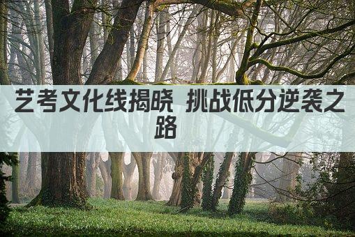 艺考文化线揭晓 挑战低分逆袭之路  