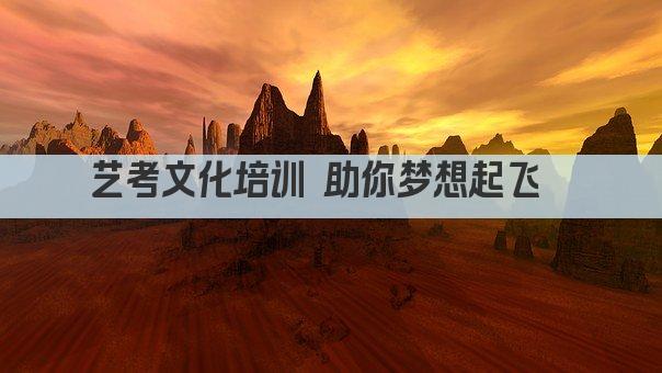 艺考文化培训 助你梦想起飞  