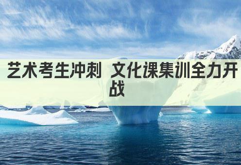 艺术考生冲刺 文化课集训全力开战 