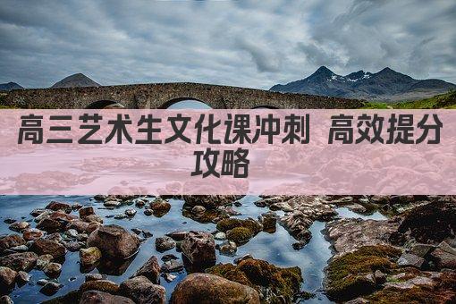 高三艺术生文化课冲刺 高效提分攻略 
