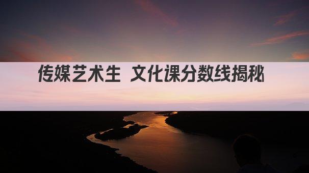 传媒艺术生 文化课分数线揭秘  