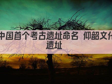 中国首个考古遗址命名 仰韶文化遗址 
