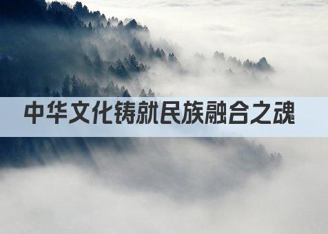 中华文化铸就民族融合之魂 