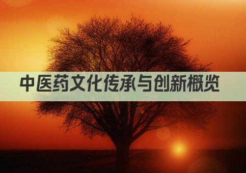 中医药文化传承与创新概览 