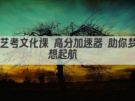 艺考文化课 高分加速器 助你梦想起航  