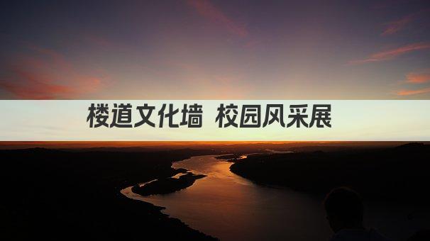 楼道文化墙 校园风采展 