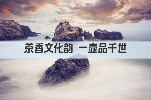 茶香文化韵 一壶品千世