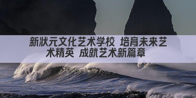 新状元文化艺术学校 培育未来艺术精英 成就艺术新篇章 