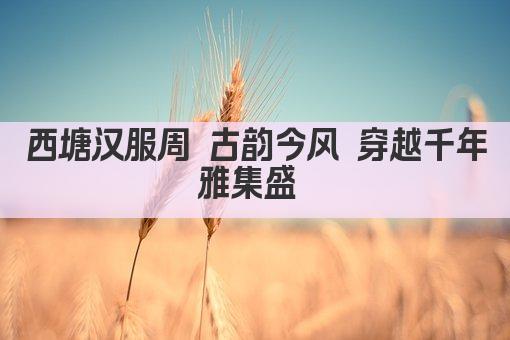 西塘汉服周 古韵今风 穿越千年雅集盛 